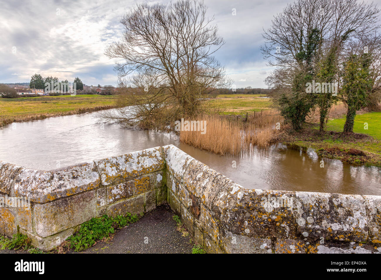 The River Frome and the historic Wool Bridge Dorset England UK Stock