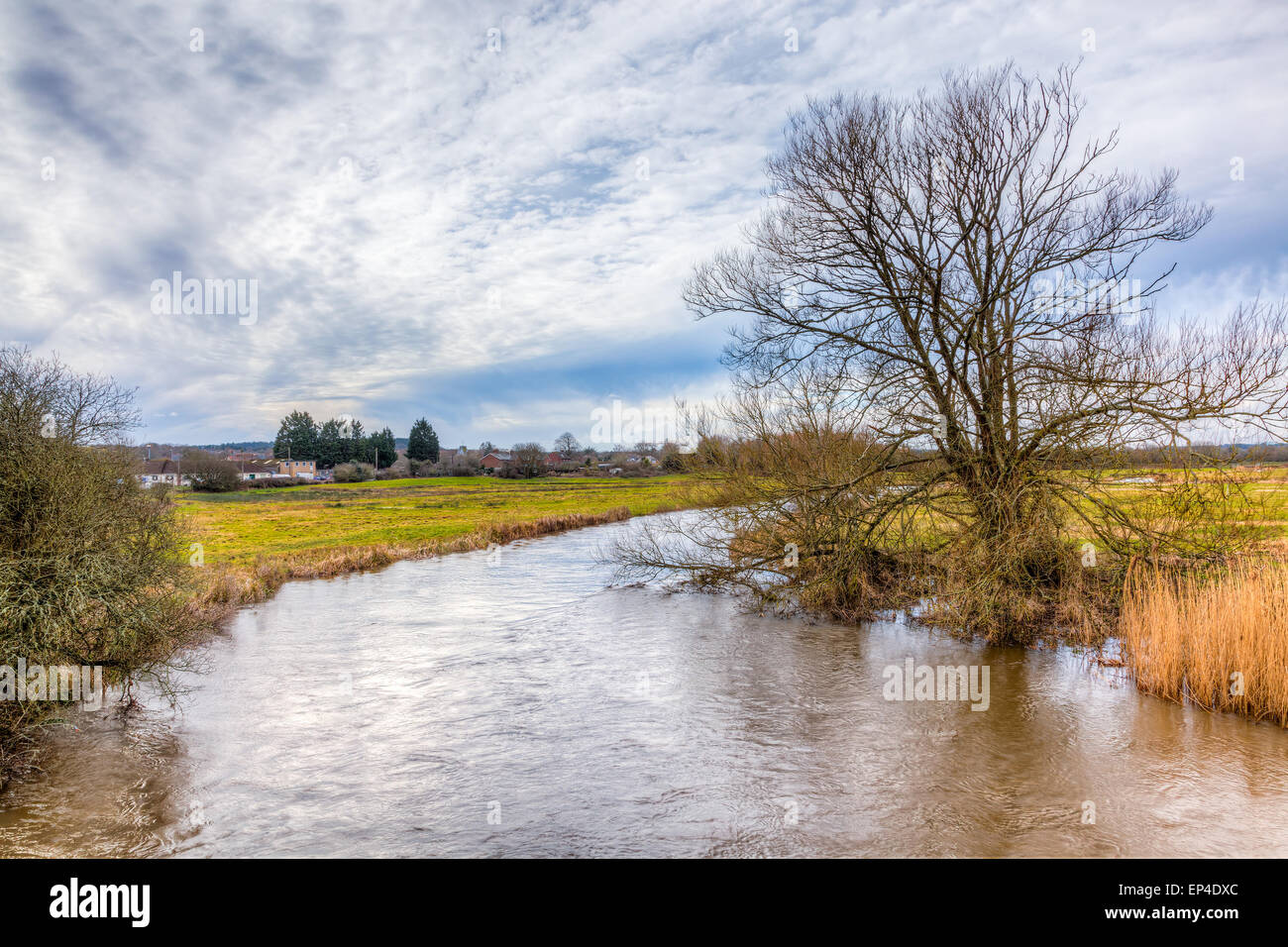 The River Frome at Wool Dorset England UK Europe Stock Photo Alamy