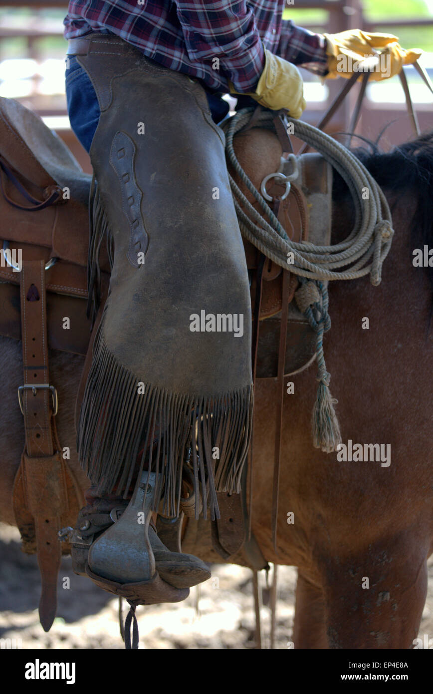 Western chaps hi-res stock photography and images - Alamy