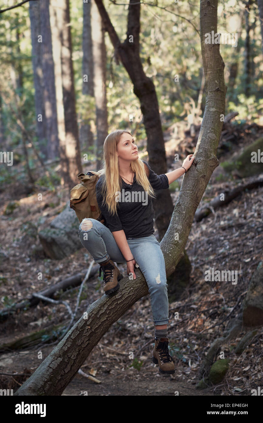 A young woman resting in a tree while hiking through the forest in the Sierra Nevada Mountains of Northern California. Stock Photo
