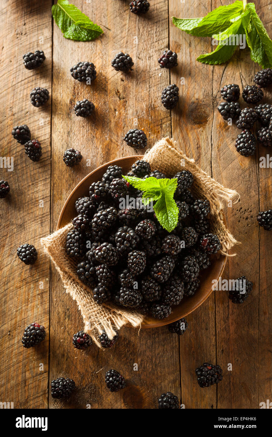 Fresh Raw Organic Blackberries in a Bowl Stock Photo