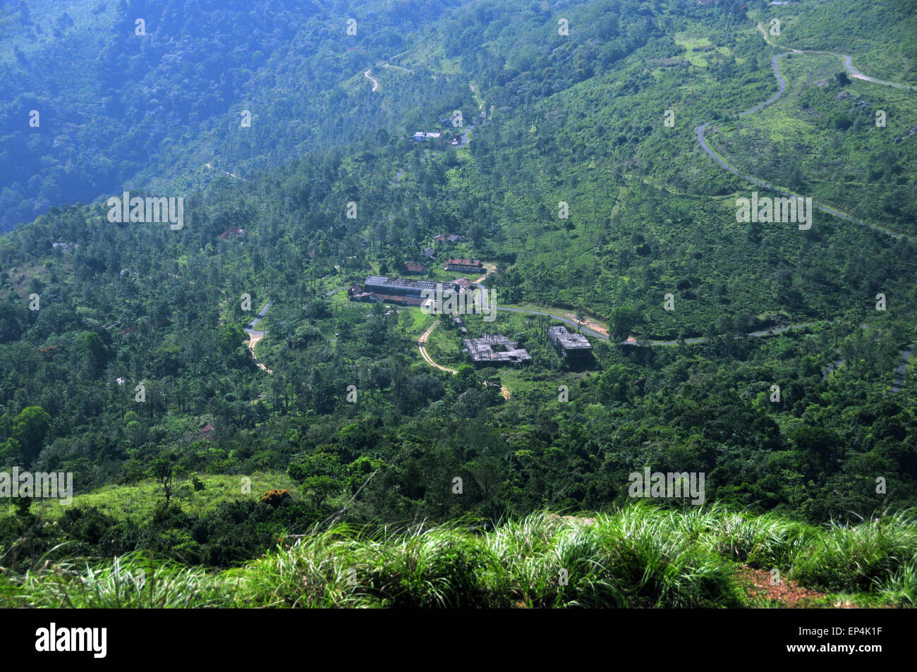 Areal view of a tea plantation Stock Photo
