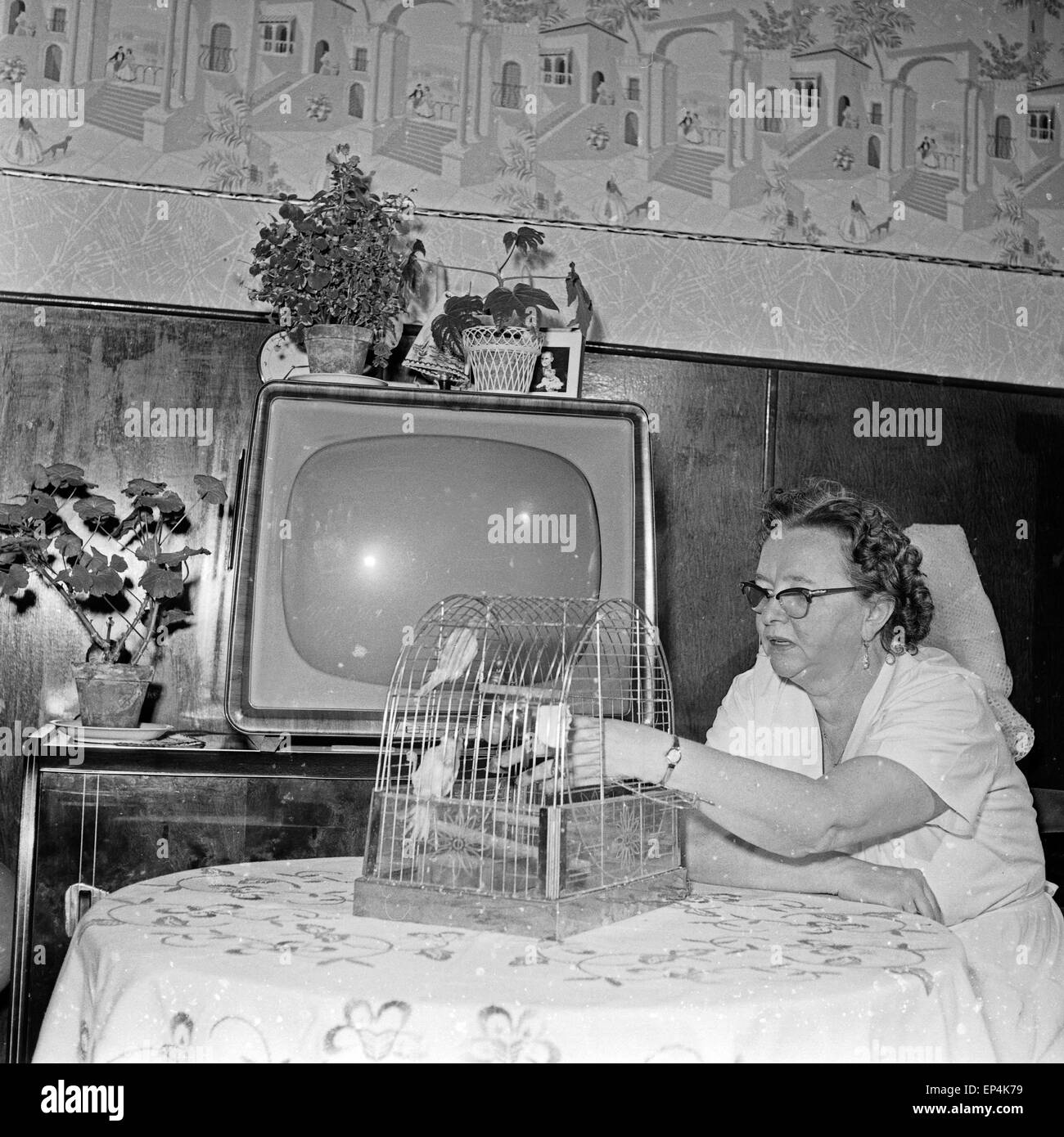 Eine ältere Frau in ihrem Wohnzimmer mit einem Vogelkäfig, Deutschland 1960er Jahre. An elder woman in her living room with a bi Stock Photo