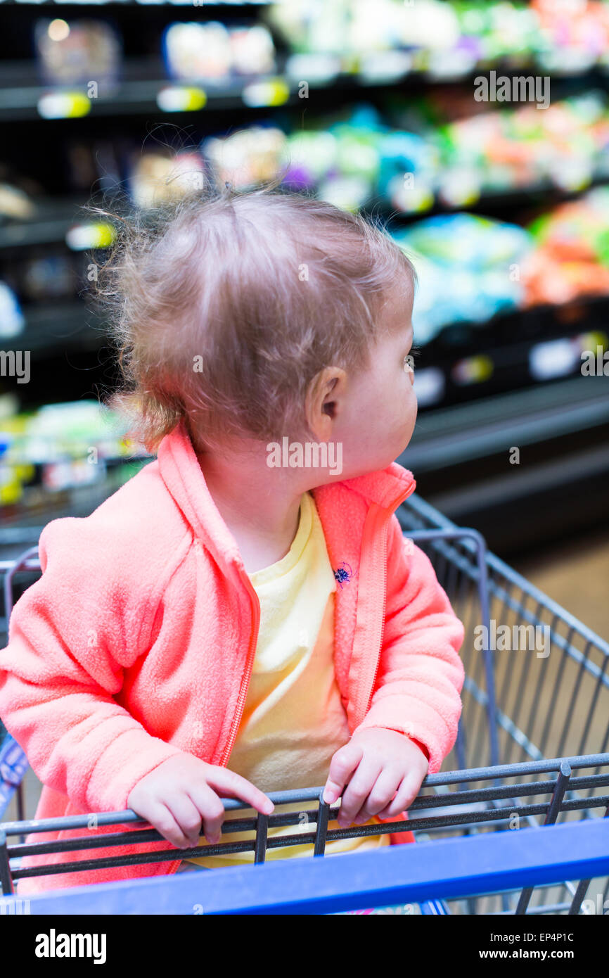 Cute toddler girl sitting in shopping cart at the grocery store Stock ...