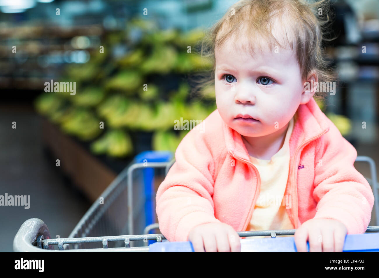 Cute toddler girl sitting in shopping cart at the grocery store Stock ...