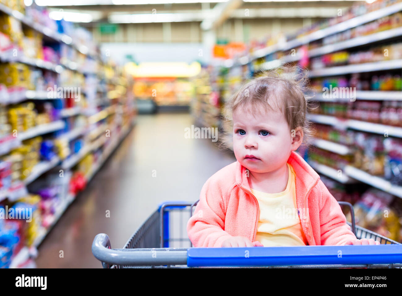 Cute toddler girl sitting in shopping cart at the grocery store Stock ...