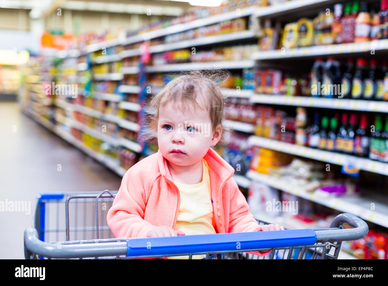 Cute toddler girl sitting in shopping cart at the grocery store Stock ...
