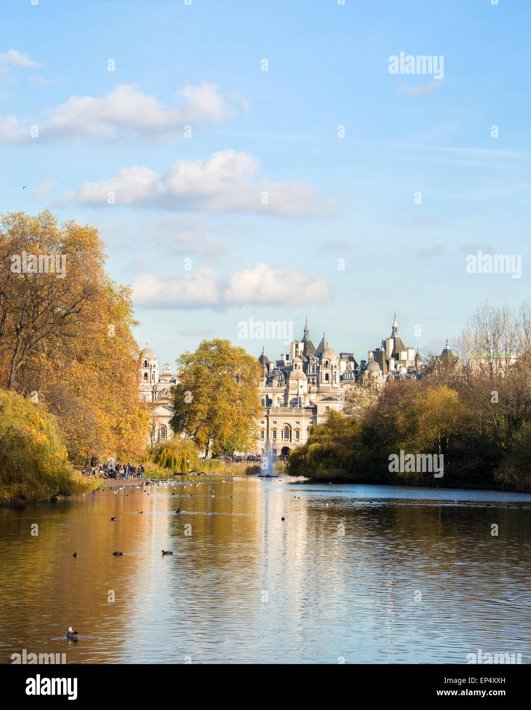 Fall autumn season in the forest Stock Photo - Alamy
