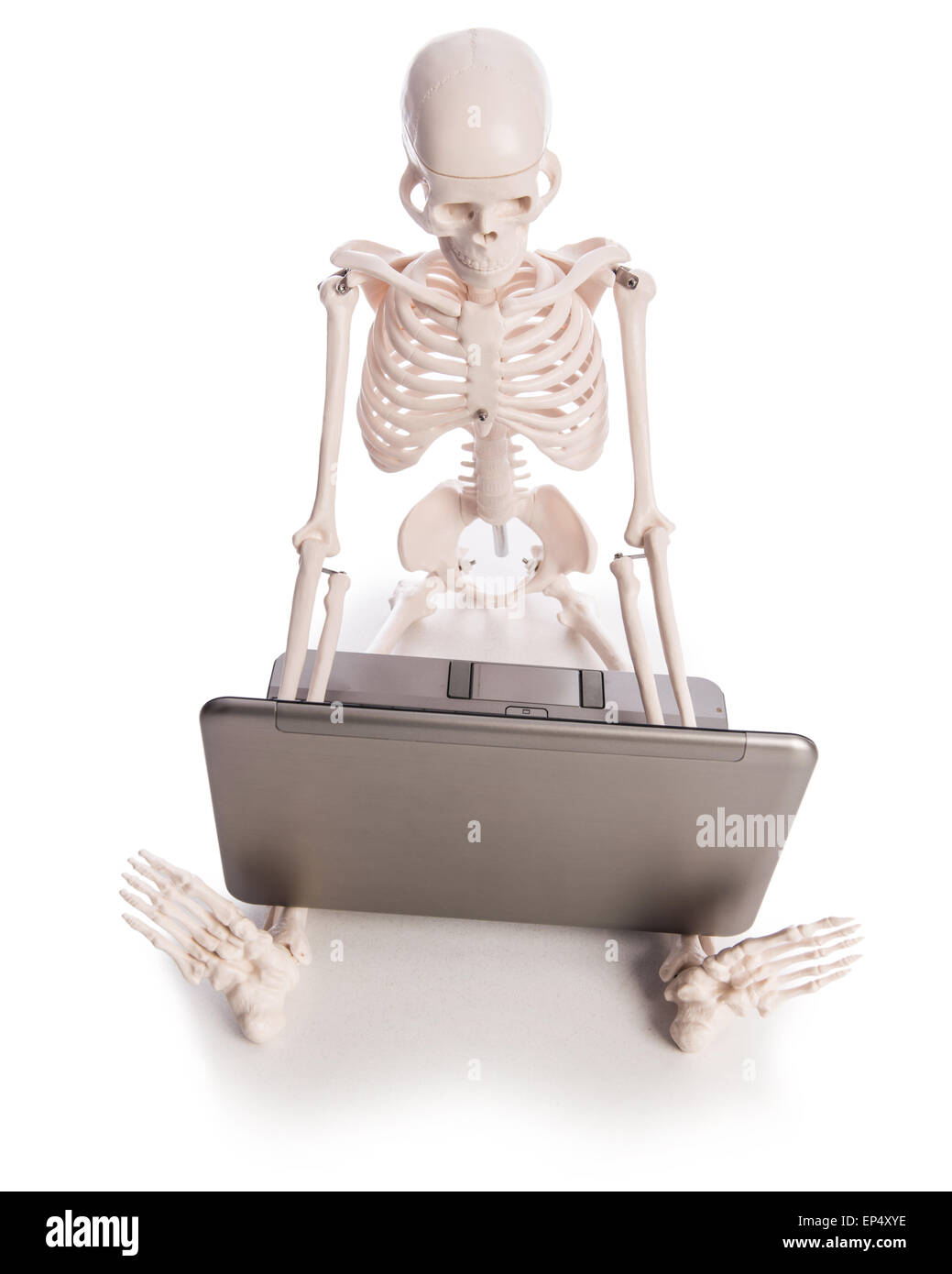 Skeleton working on laptop Stock Photo