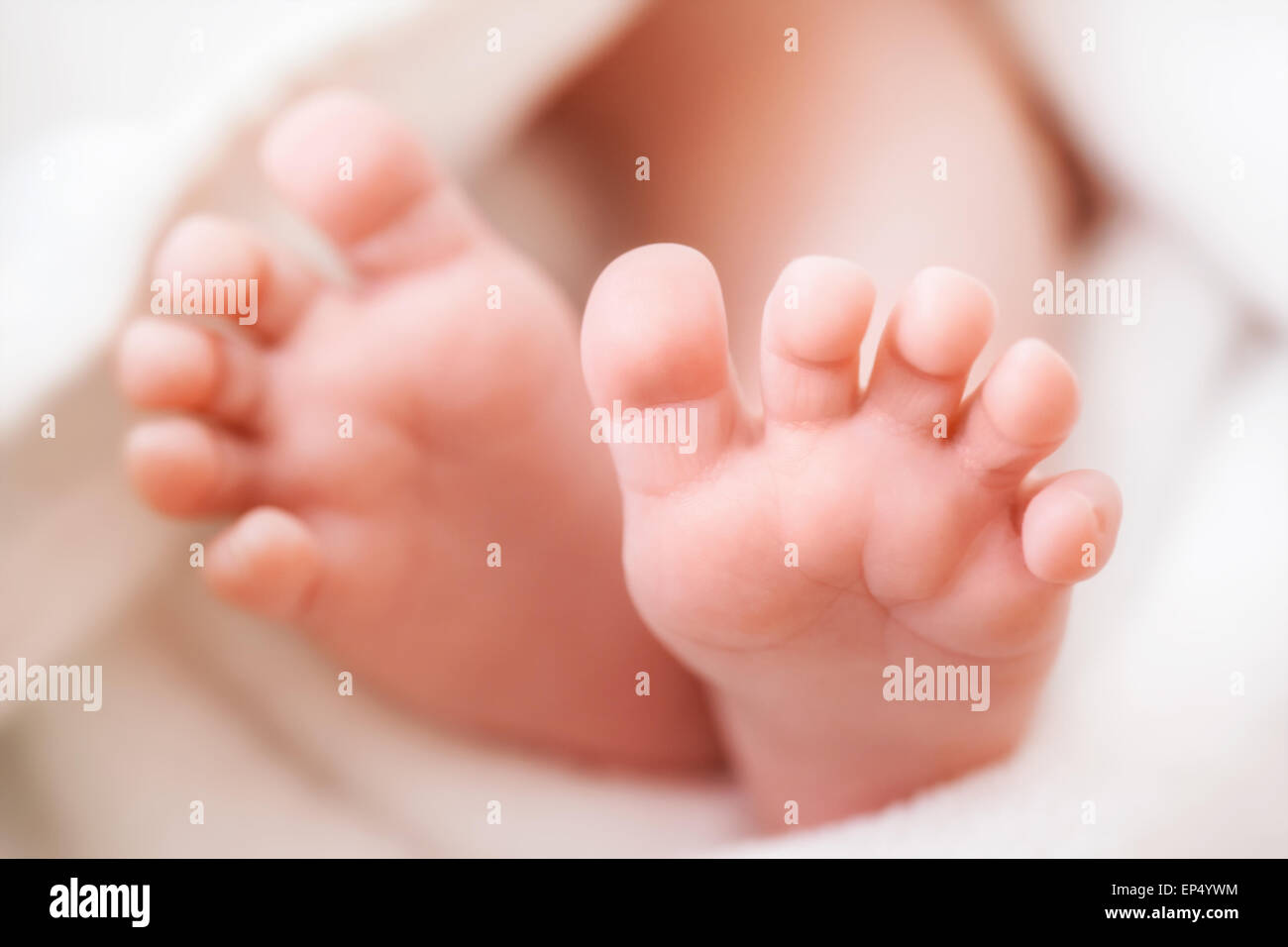 newborn baby feet Stock Photo Alamy