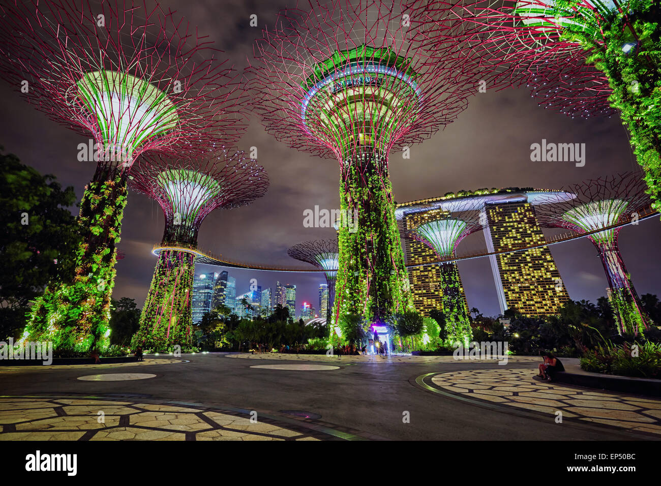 Night view gardens bay hi-res stock photography and images - Alamy