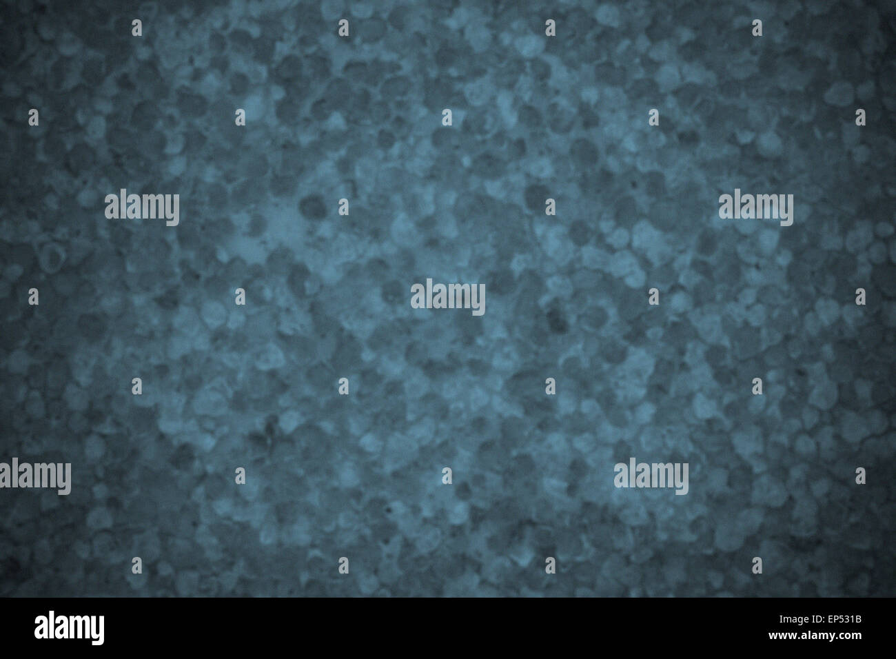 Nature blur background in blue color tone Stock Photo - Alamy
