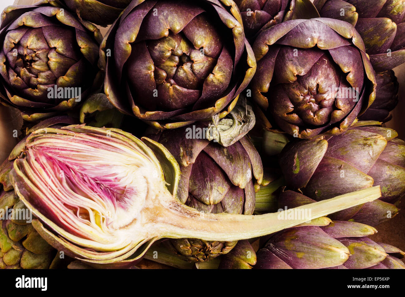 Pile of Purple artichokes ready for cooking. One artichoke is cut Stock
