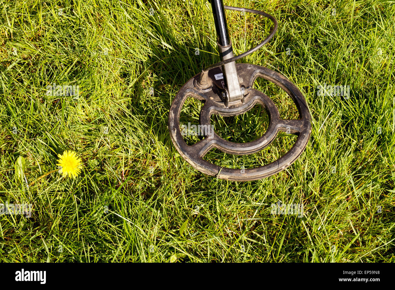 Holding metal detector hi-res stock photography and images - Alamy