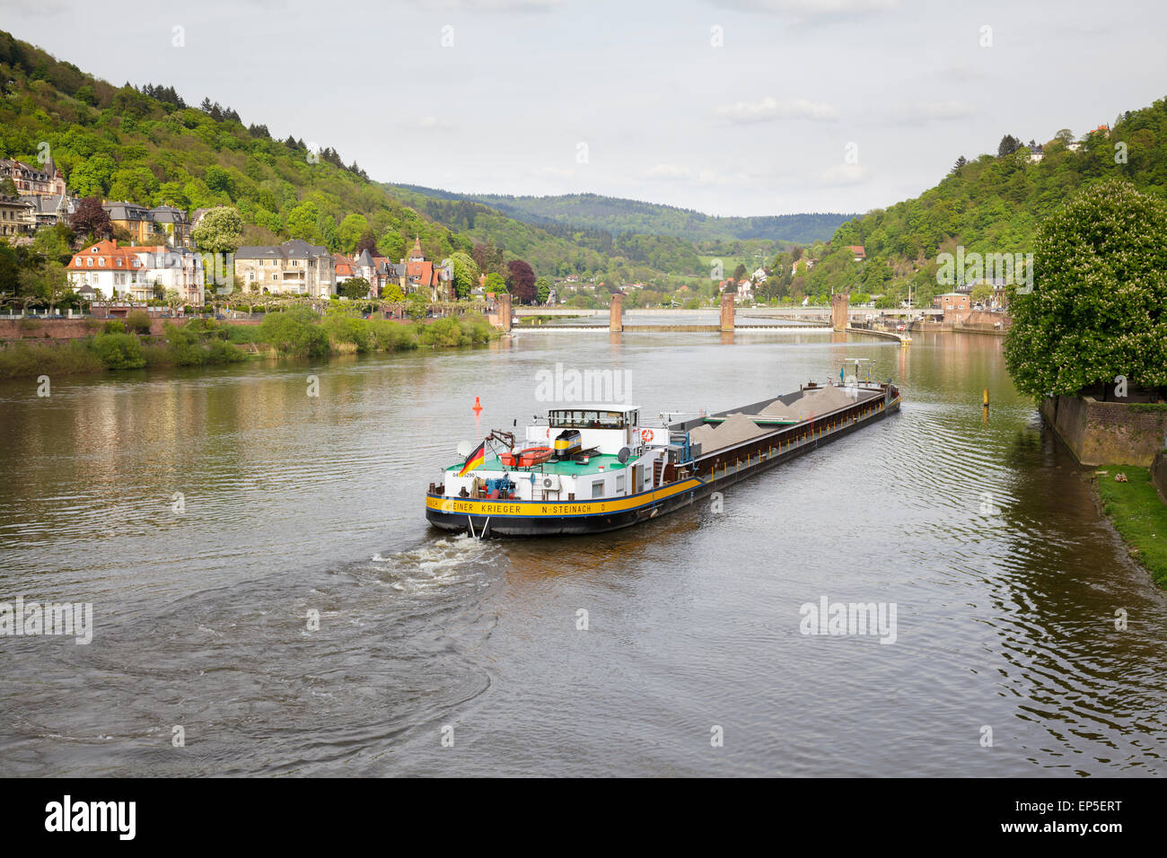 transport barge on the River Neckar, Heidelberg, Baden-Württemberg, Germany Stock Photo