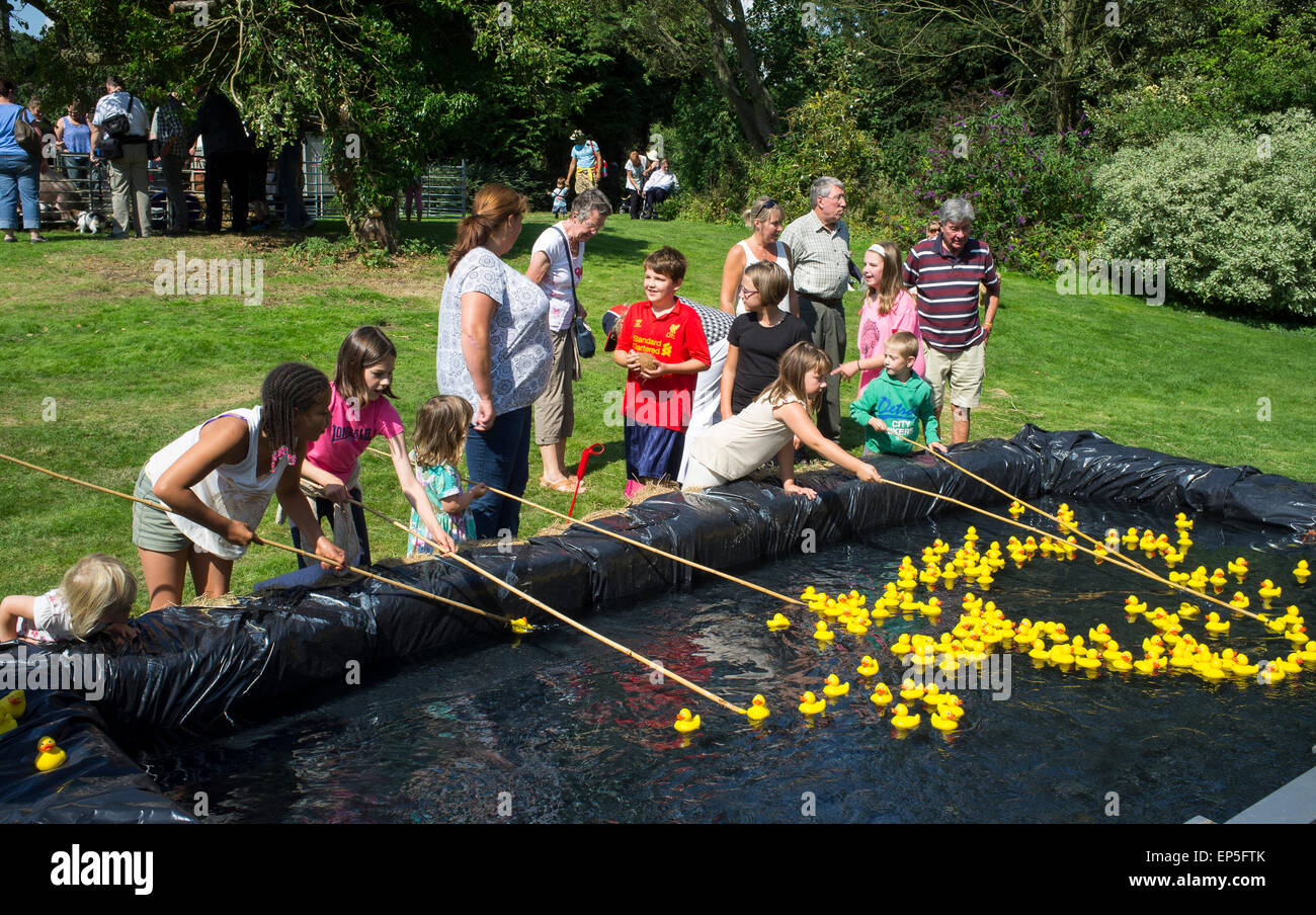 Hooking duck hires stock photography and images Alamy