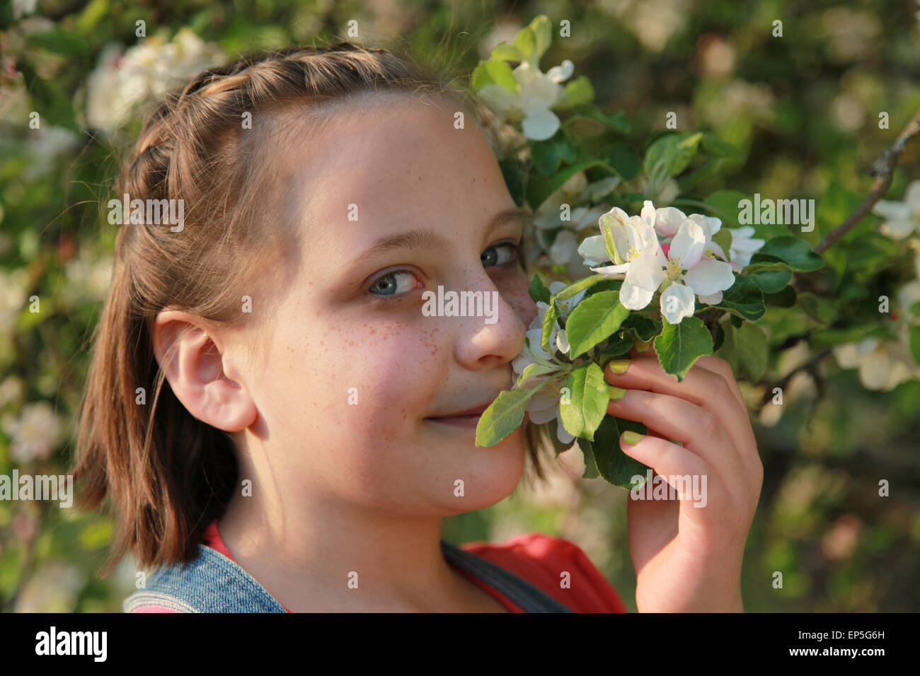Mädchen riecht an den Blüten eines Apfelbaums Stock Photo