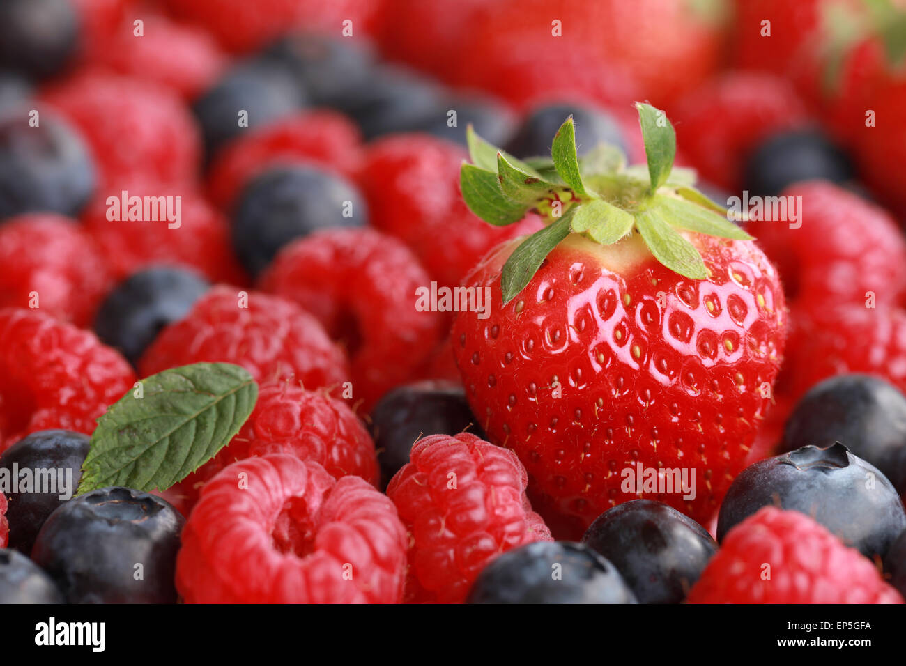 Beeren mit Textfreiraum Stock Photo