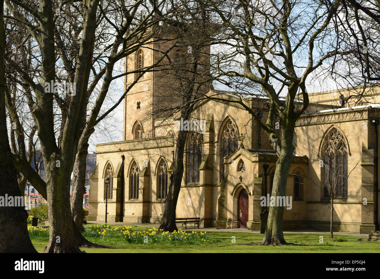 A view through the willow trees at Dewsbury Minster, West Yorkshire Stock Photo