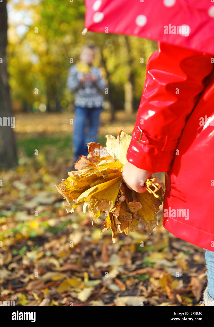 little girl with autumn leaves in the beauty park Stock Photo - Alamy