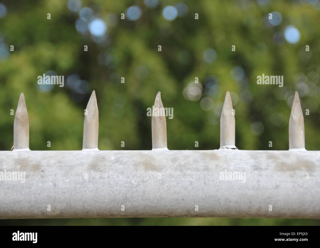 Metal spikes on top of security fence Stock Photo Alamy
