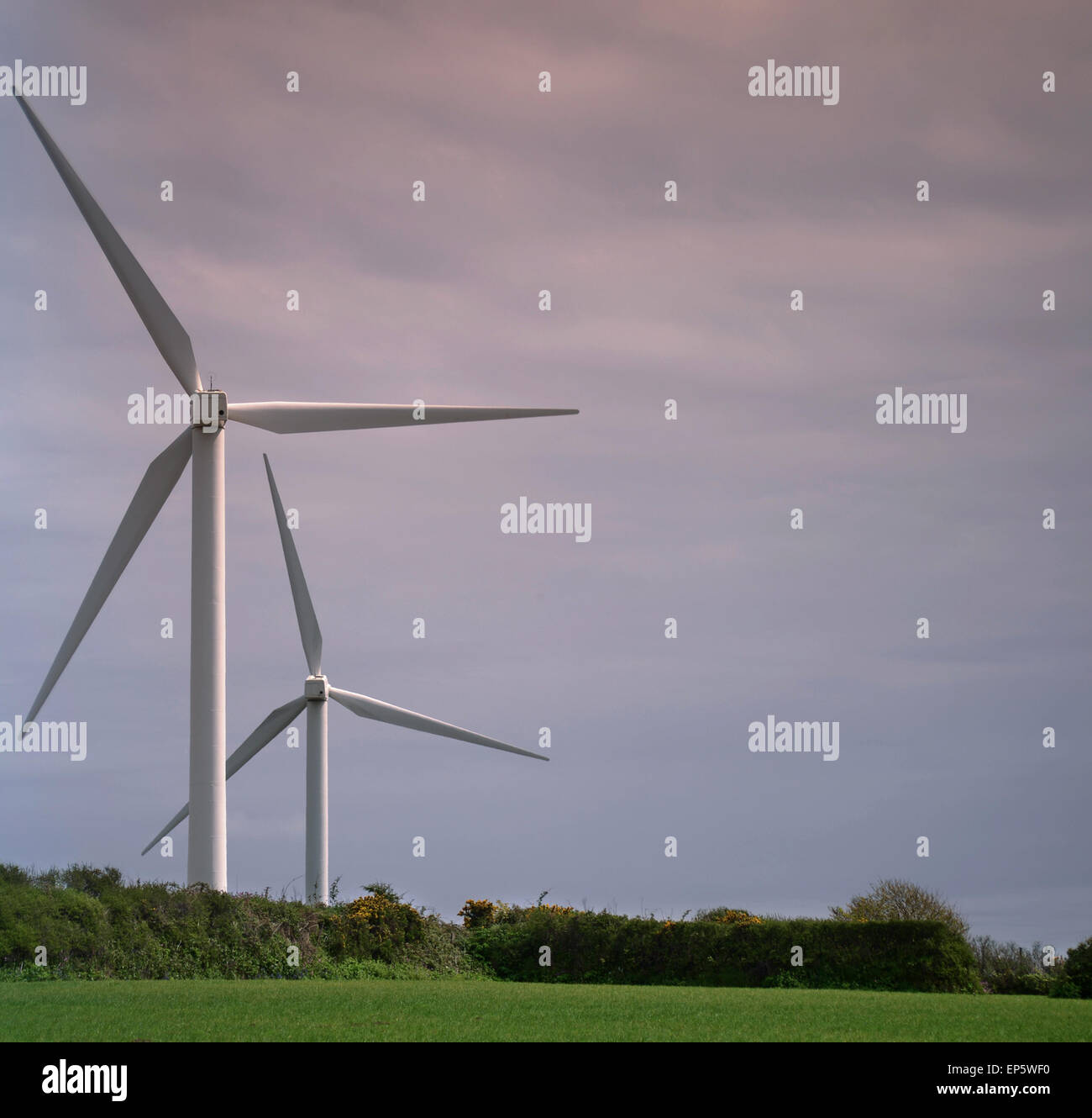 Stithians cornwall hi-res stock photography and images - Alamy