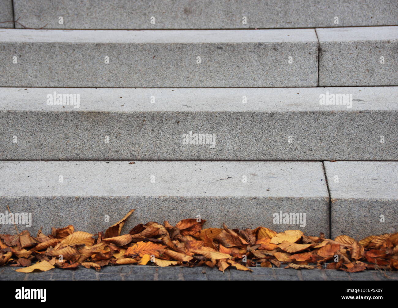 Granite stone stair with dead leaves in autumn Stock Photo - Alamy
