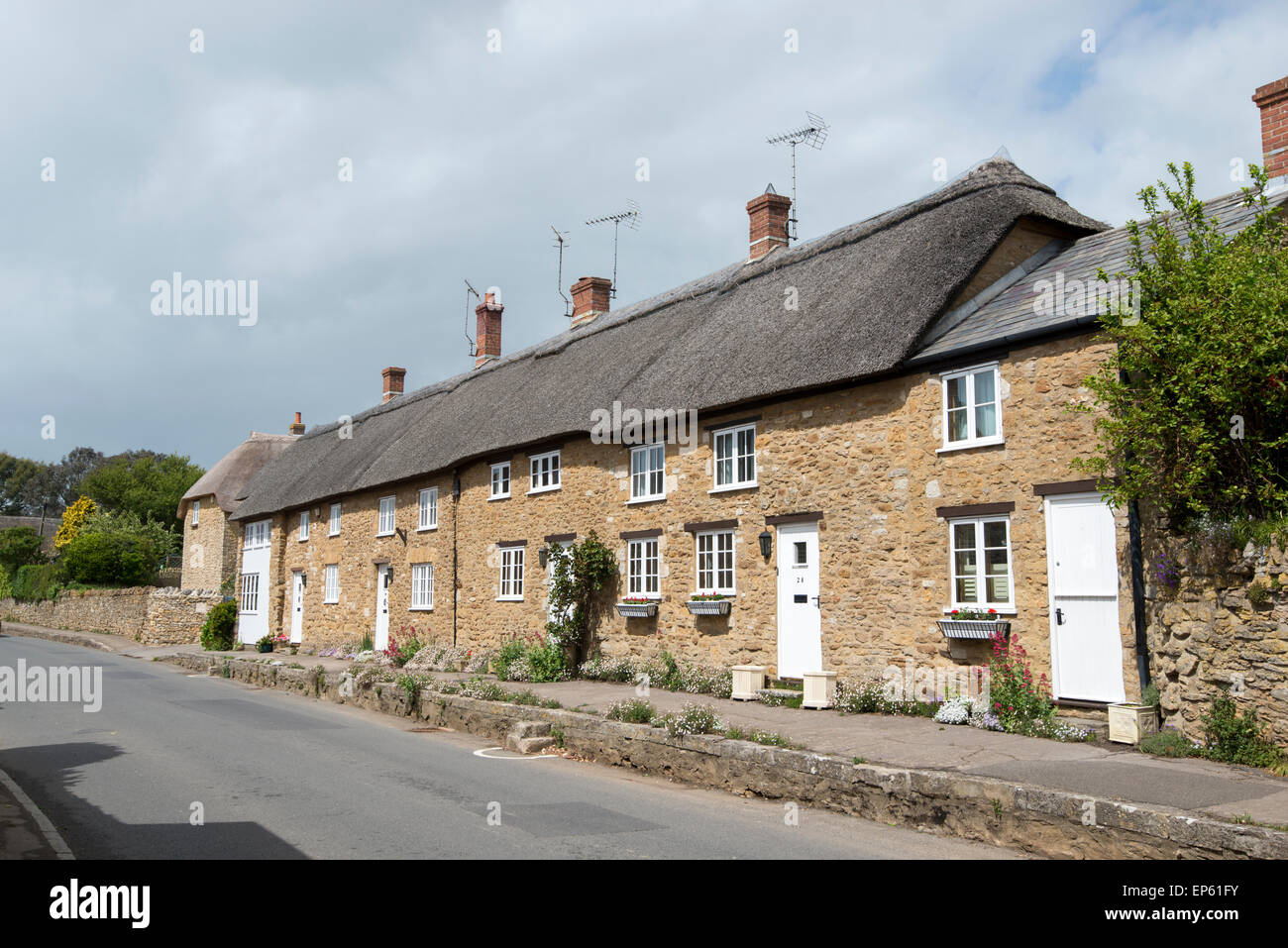 Thatched Cottages In The Picturesque Village Of Abbotsbury In