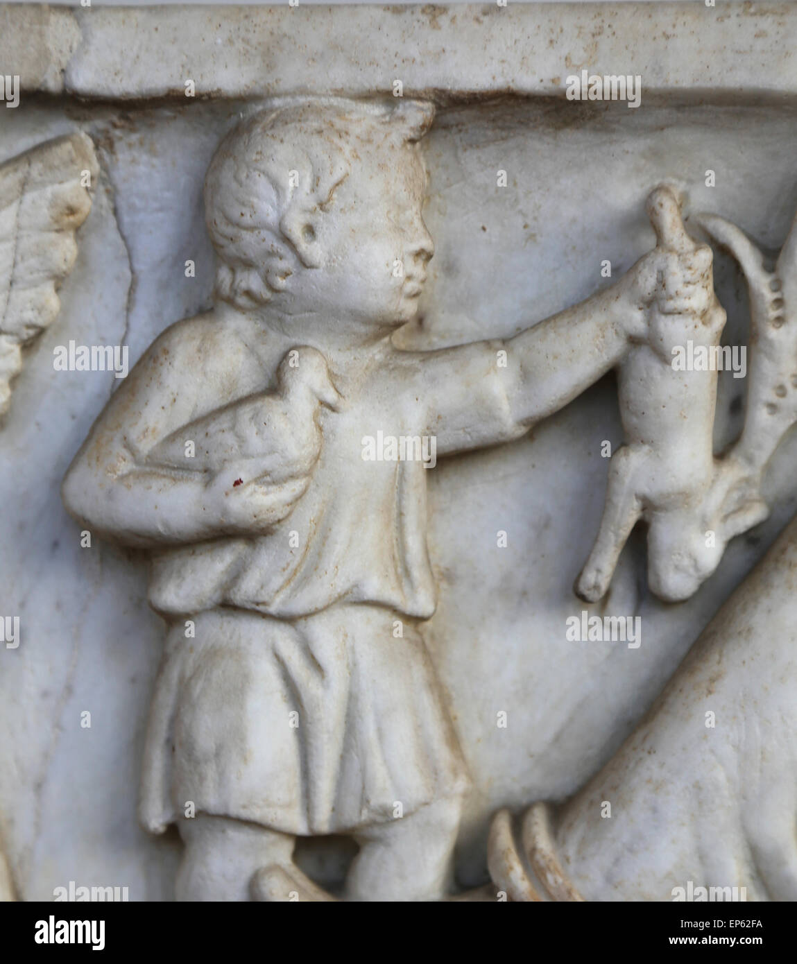 Roman sarcophagus. Detail relief. Boy holding rabbit and dove in his hands. Imperial era. Marble. National Roman Museum. Stock Photo