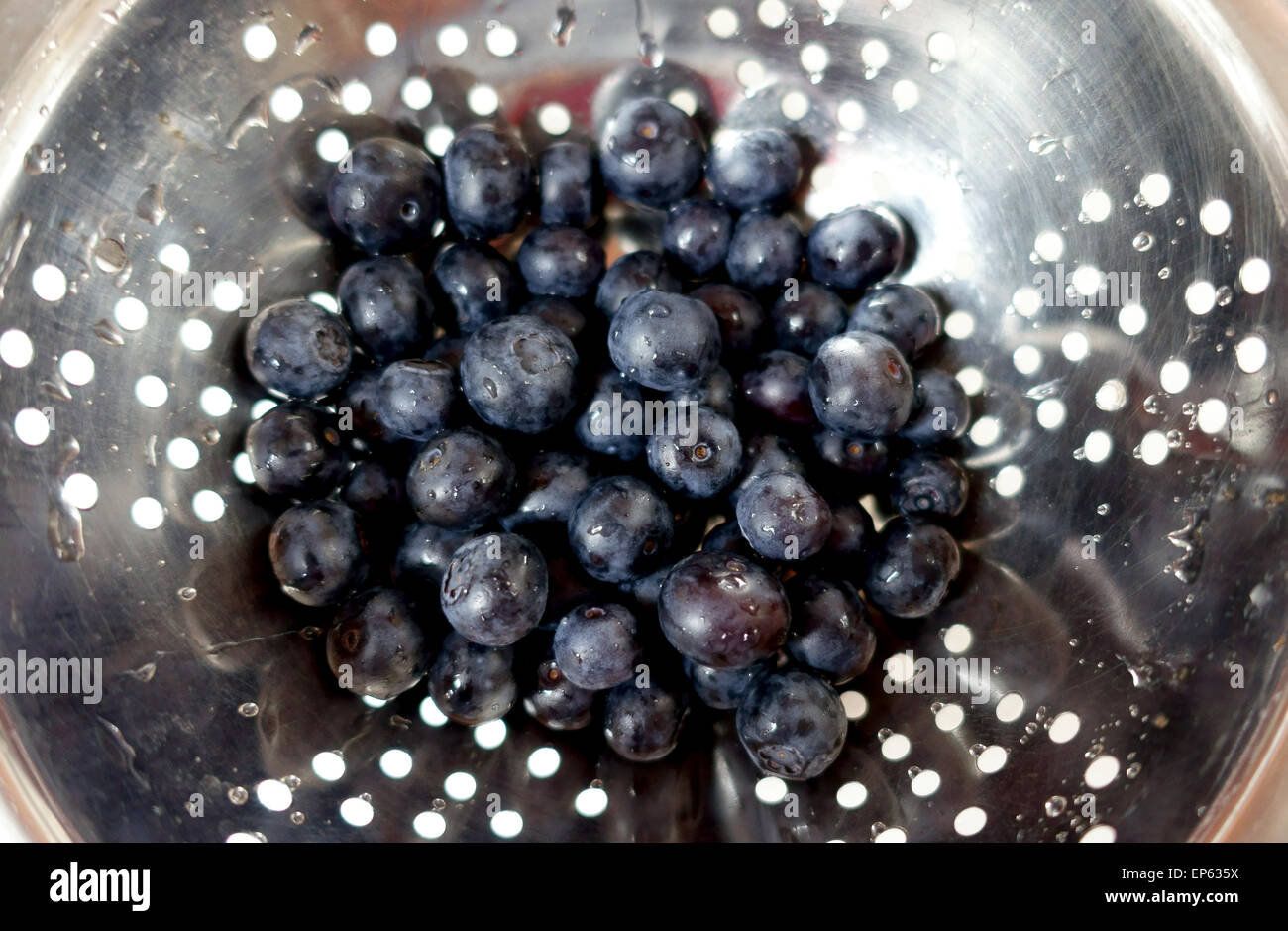 Fresh Kirra variety Moroccan grown supermarket blueberries, London Stock Photo