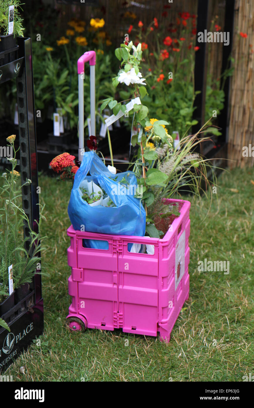 Pink trolley and carrier bags of plants and flowers at RHS Hampton Court Flower Show, July 2014 Stock Photo