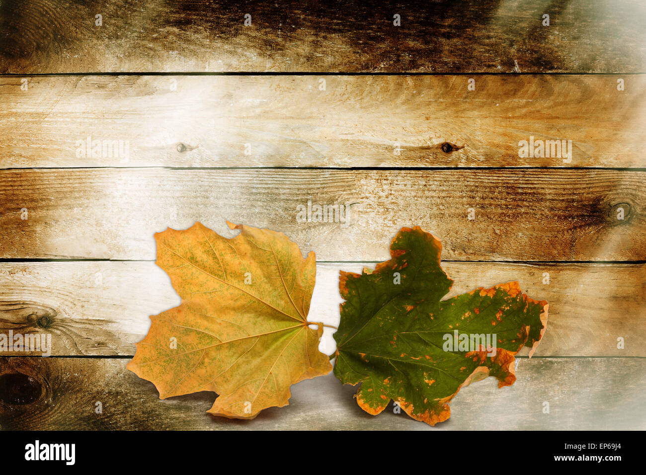 Bright autumn leaves on the wooden background Stock Photo - Alamy