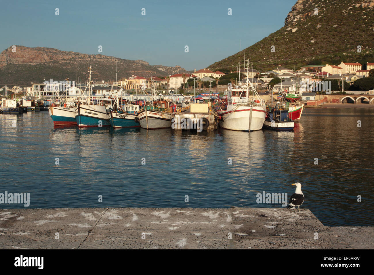 Fishing boats in Kalk Bay harbor in early morning Stock Photo