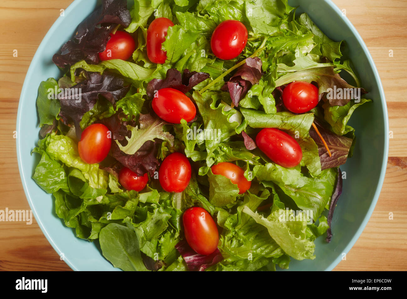 Mixed green salad with cherry tomatoes Stock Photo