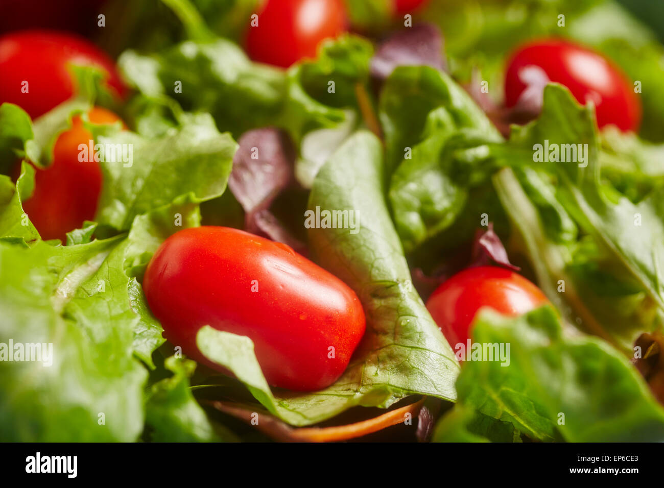 Mixed green salad with cherry tomatoes Stock Photo Alamy