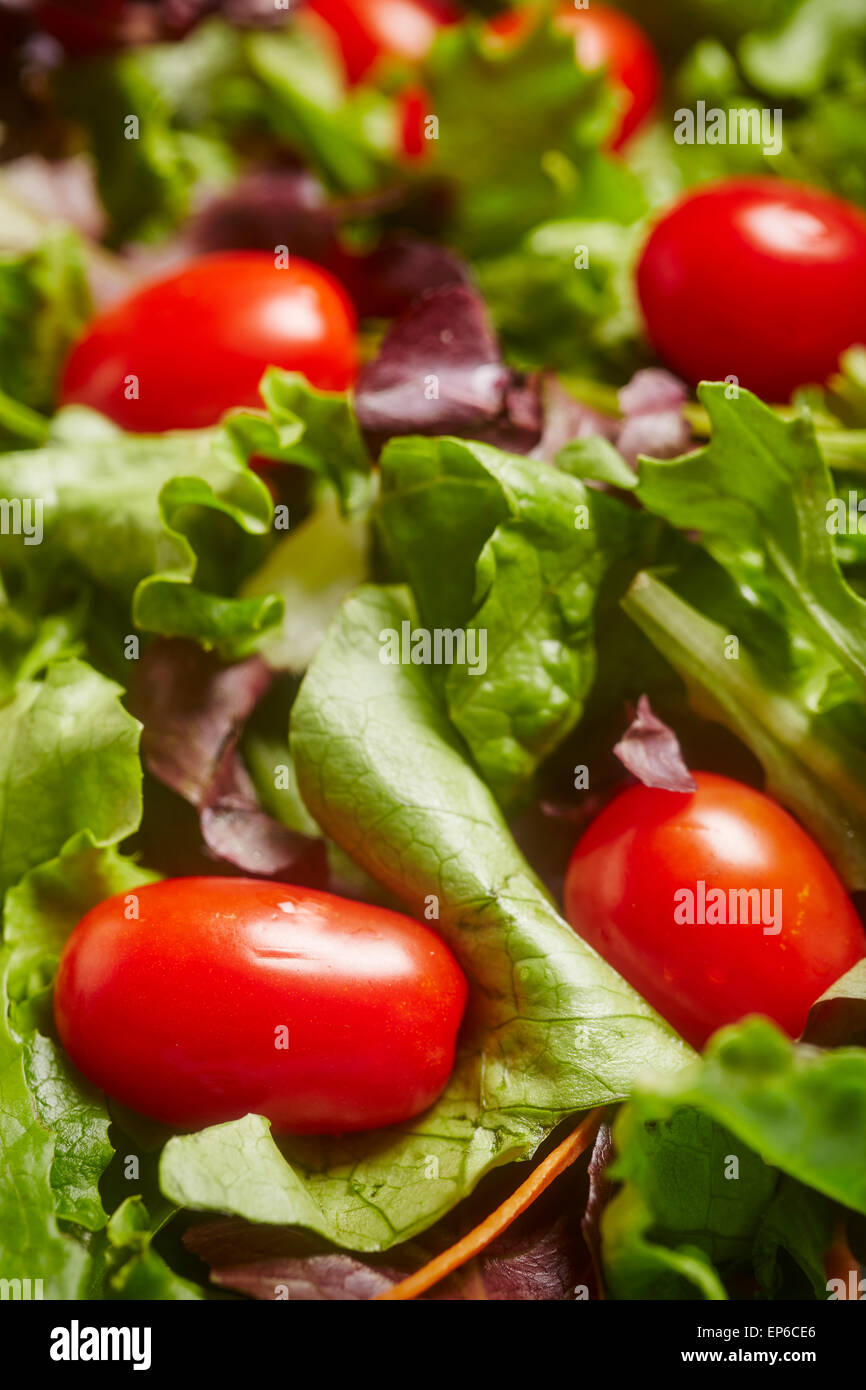 Mixed green salad with cherry tomatoes Stock Photo