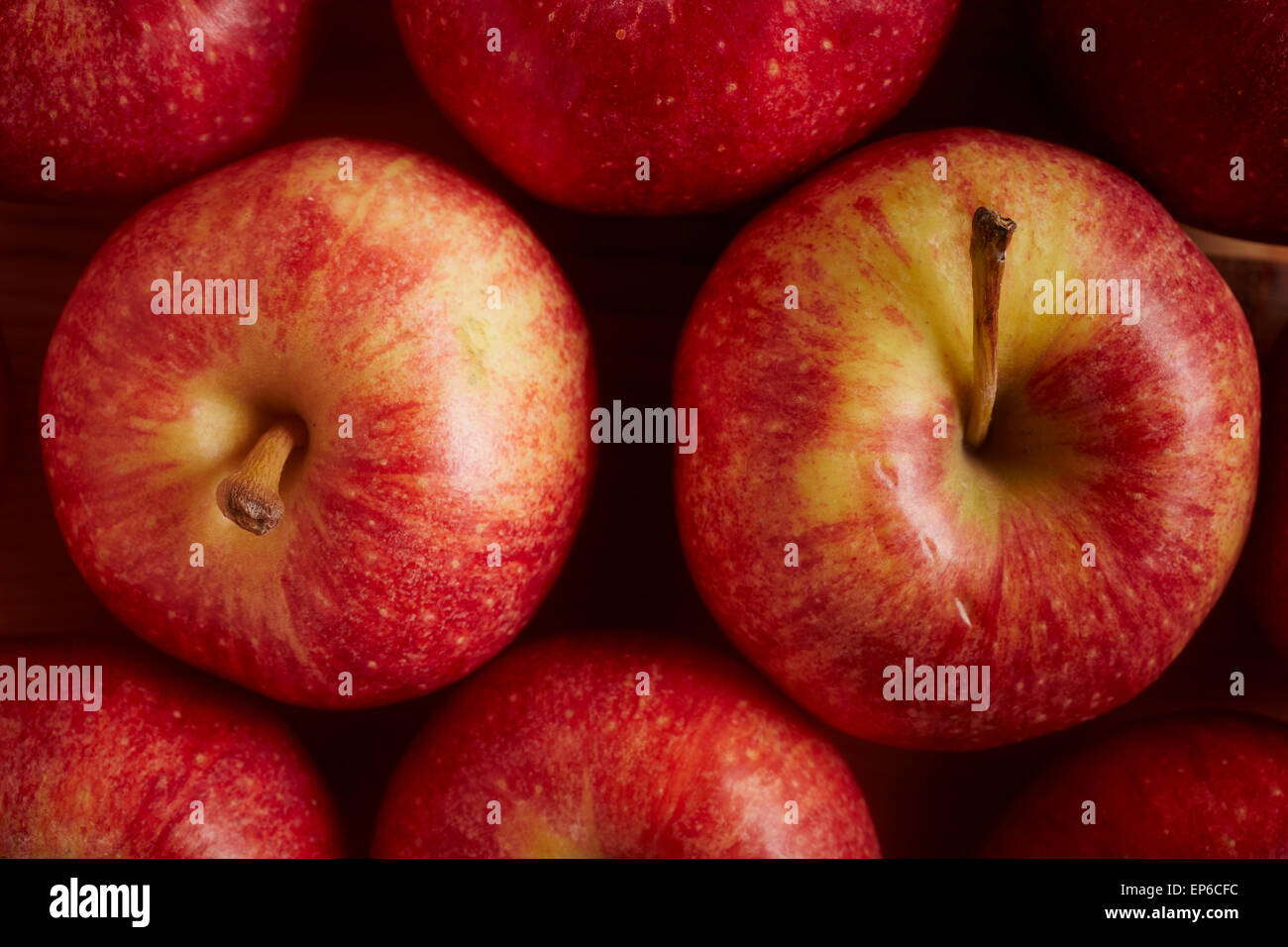 Organic Gala Apples Stock Photo Alamy