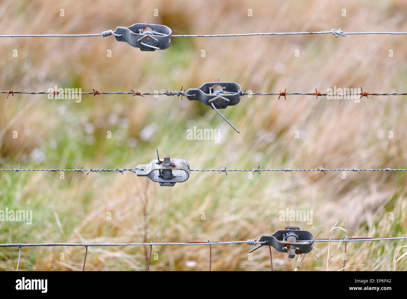 A barbed wire fence, UK Stock Photo