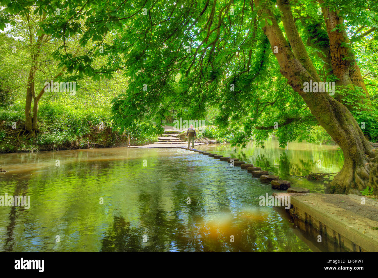 Stepping stones crossing the river Mole. Stock Photo