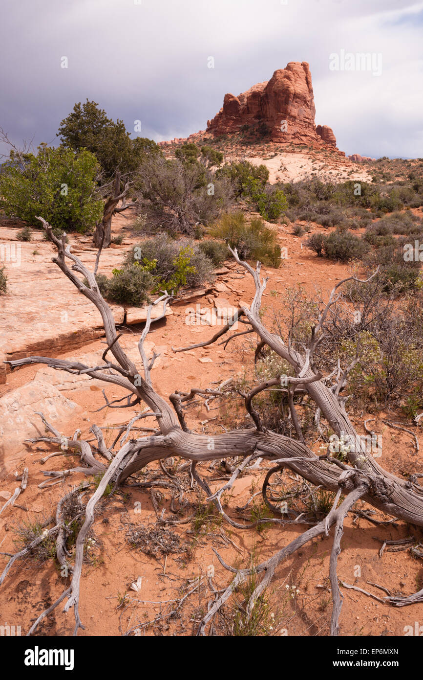 A vertical compostion of rock buttes before it rains in the Utah Wilds Stock Photo