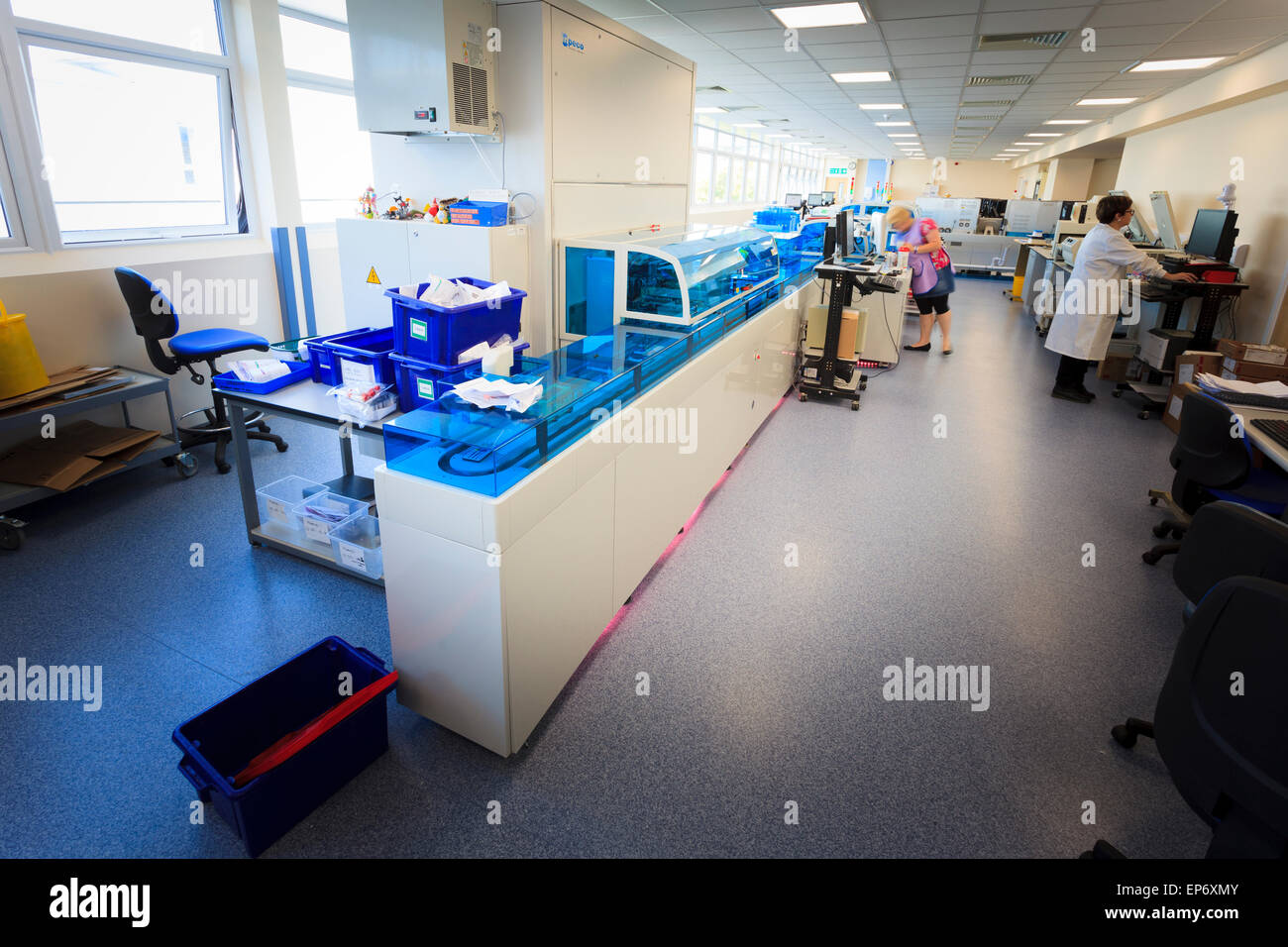 blood sciences automated analysis machine in hospital Stock Photo