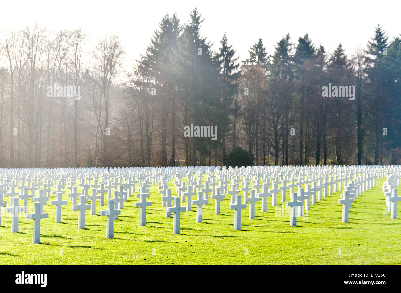 Graves of more than 5000 US soldiers at the Luxembourg American Cemetery and Memorial who died during World War II Stock Photo