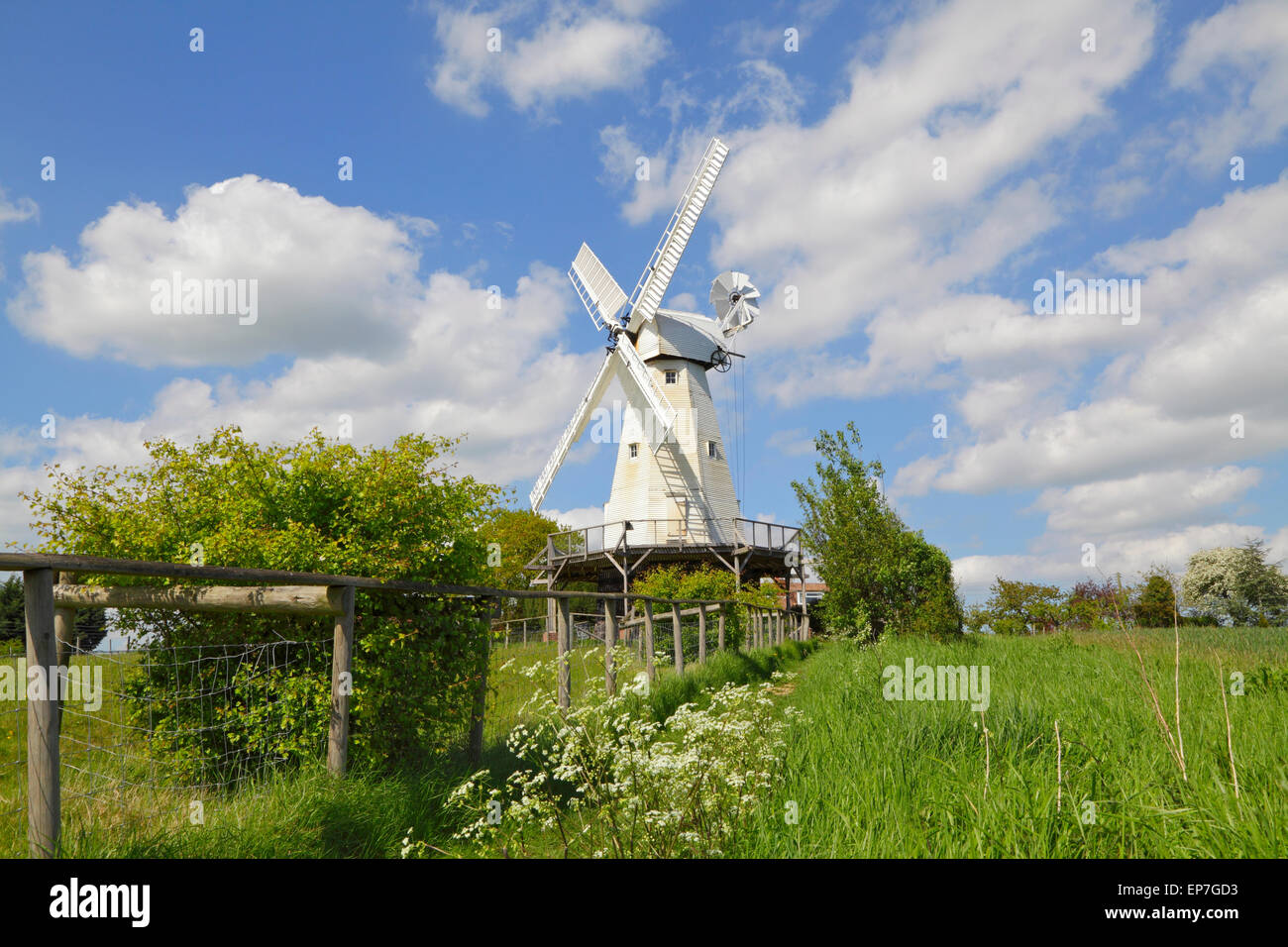 Woodchurch Windmill, Kent, England, Britain, GB, UK, near Ashford Stock Photo