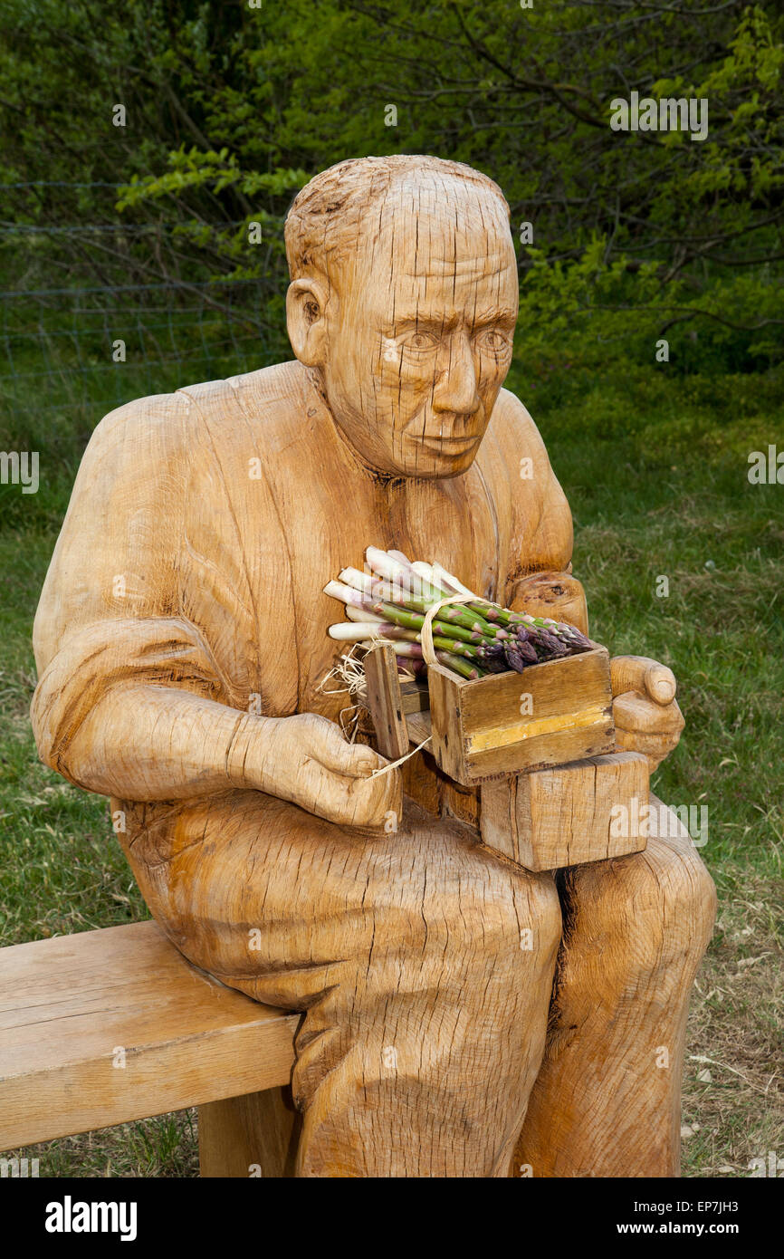 Asparagus farming new england hires stock photography and images Alamy