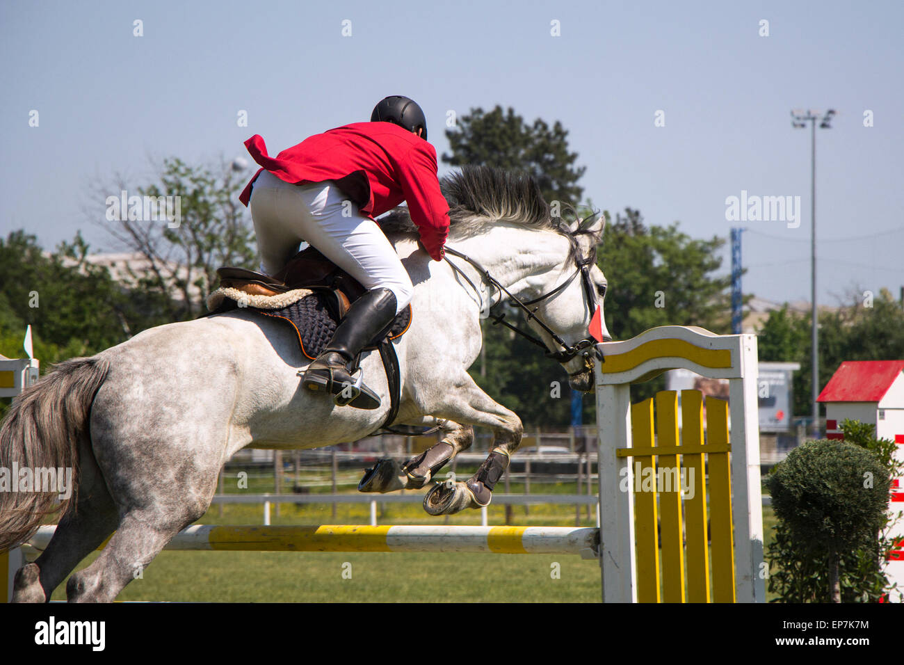 A rider on horseback competing in show jumping tournament Stock Photo