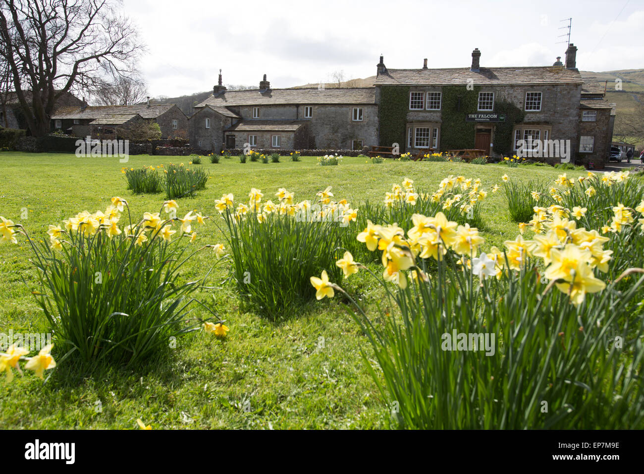 Yorkshire Dales, England. Picturesque spring view of the Falcon Inn in