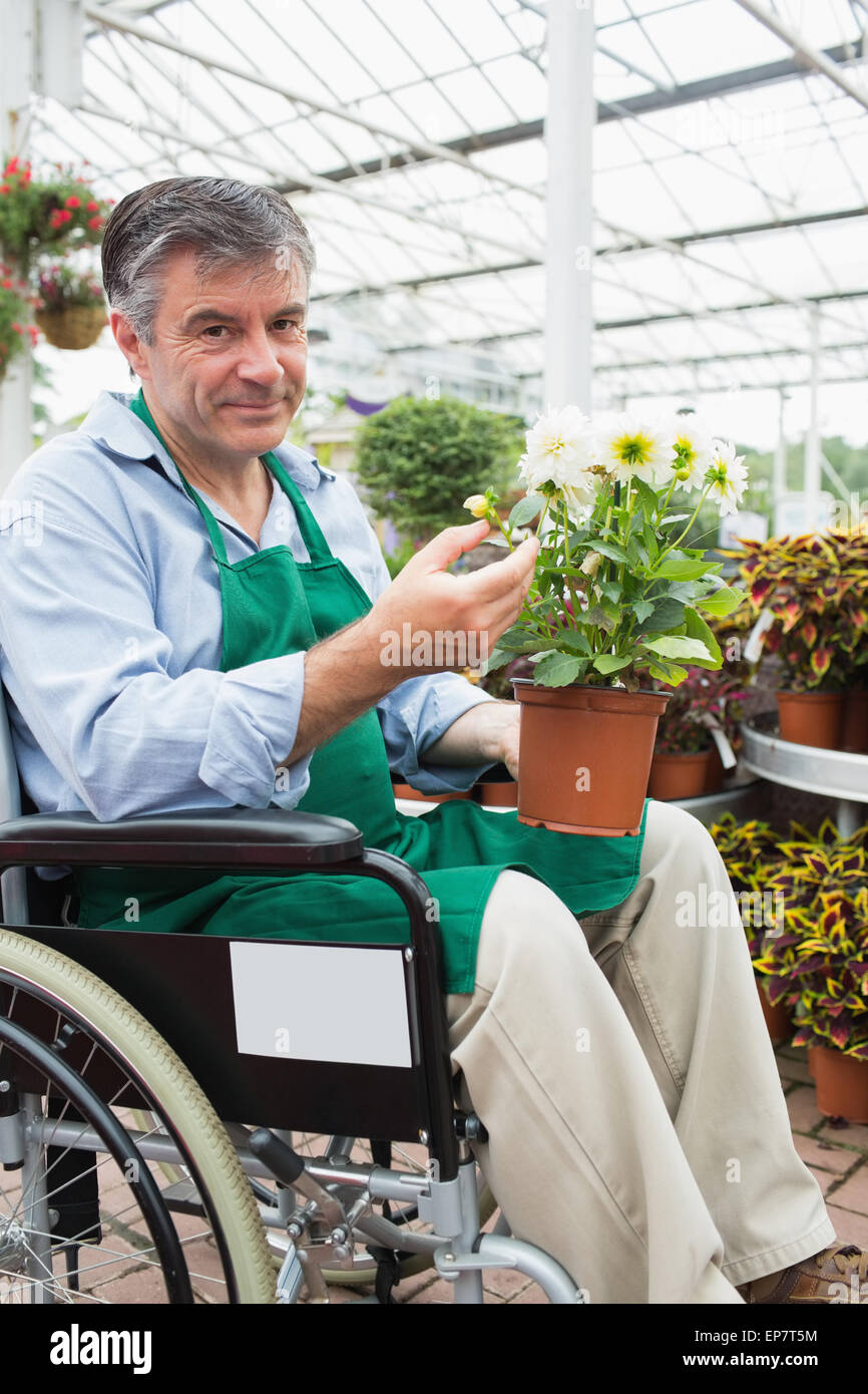 Man in wheelchair holding potted plant in garden center Stock Photo - Alamy