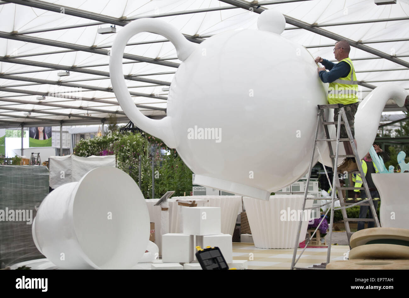 London, UK. 14th May, 2015. Preparations of the Interflora display include fine-tuning the arger then life tea pot and a tea cup. Four days before opening, Chelsea Flower Show is bustling with preparations accompanied by a rain. The Chelsea Flower Show organised by Royal Horticultural Society (RHS) in the grounds of the Royal Hospital Chelsea every May, is the most famous flower show in the United Kingdom, perhaps in the world. It attracts exhibitors and visitors from around the world, London, UK. Credit:  Veronika Lukasova/ZUMA Wire/Alamy Live News Stock Photo