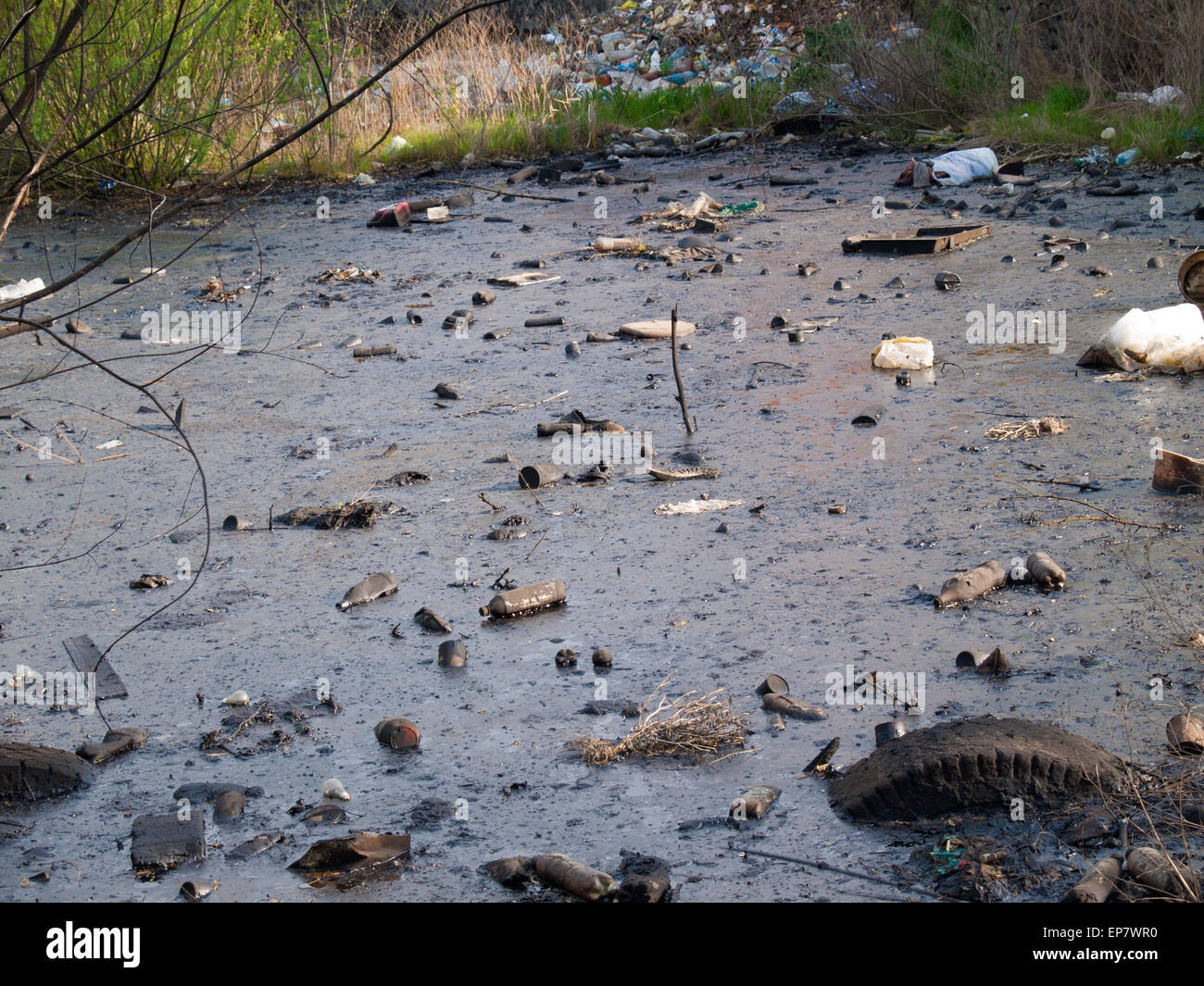 Lake polluted with garbage, sewage and oil Stock Photo Alamy