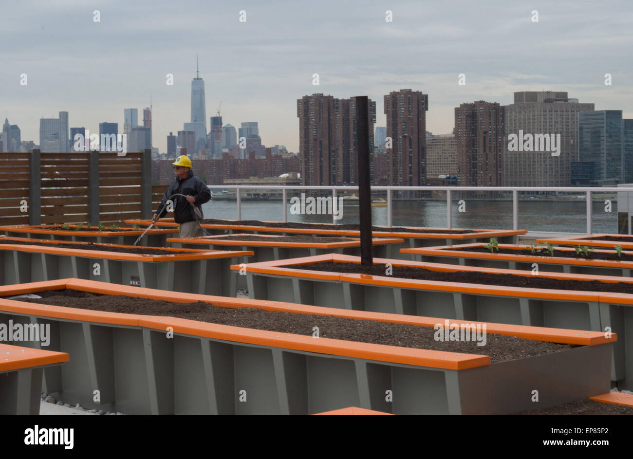 May 6, 2015 - Queens, New York, U.S. - The 13th floor garden area of Hunter's Point South Commons, a 619 unit affordable housing complex in Long Island City's waterfront neighborhood, Hunter's Point, Wednesday, May 6, 2015. (Credit Image: © Bryan Smith/ZUMA Wire) Stock Photo